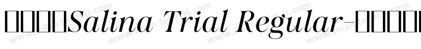 字体名称Salina Trial Regular字体转换